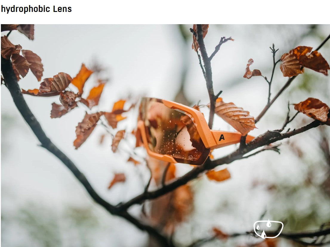 ALPINA 5W1NG QV Sport Sunglasses