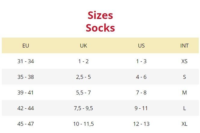 Lenz 發熱襪1.0 男女通用 + 700鋰電池套裝