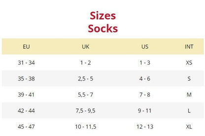 Lenz 發熱襪1.0 男女通用 + 700鋰電池套裝