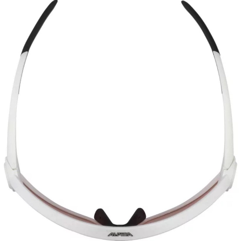 ALPINA 5W1NG Q+CM Sport Sunglasses