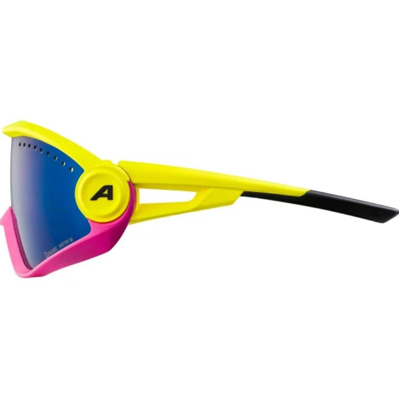 ALPINA 5W1NG CM+ Sport Sunglasses