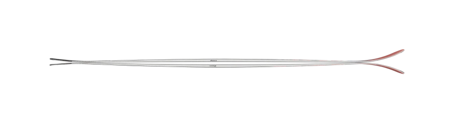 Nordica Santa Ana 87 W Skis 2026