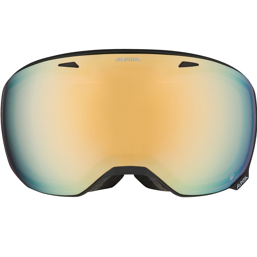Alpina Big Horn Q Ski Goggles