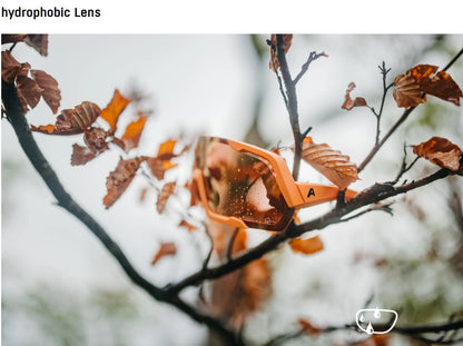 ALPINA 5W1NG Q+CM Sport Sunglasses