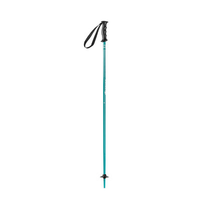 Nordica Junior Girl Ski Poles