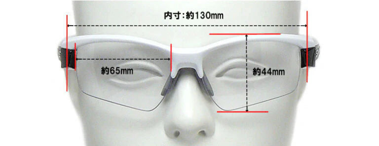 SWANS Sunglasses LI SIN 0066