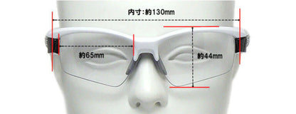 SWANS Sunglasses LI SIN 0066