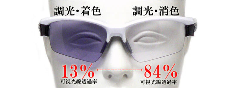 SWANS Sunglasses LI SIN 0066