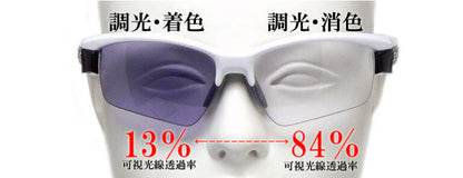 SWANS Sunglasses LI SIN 0066