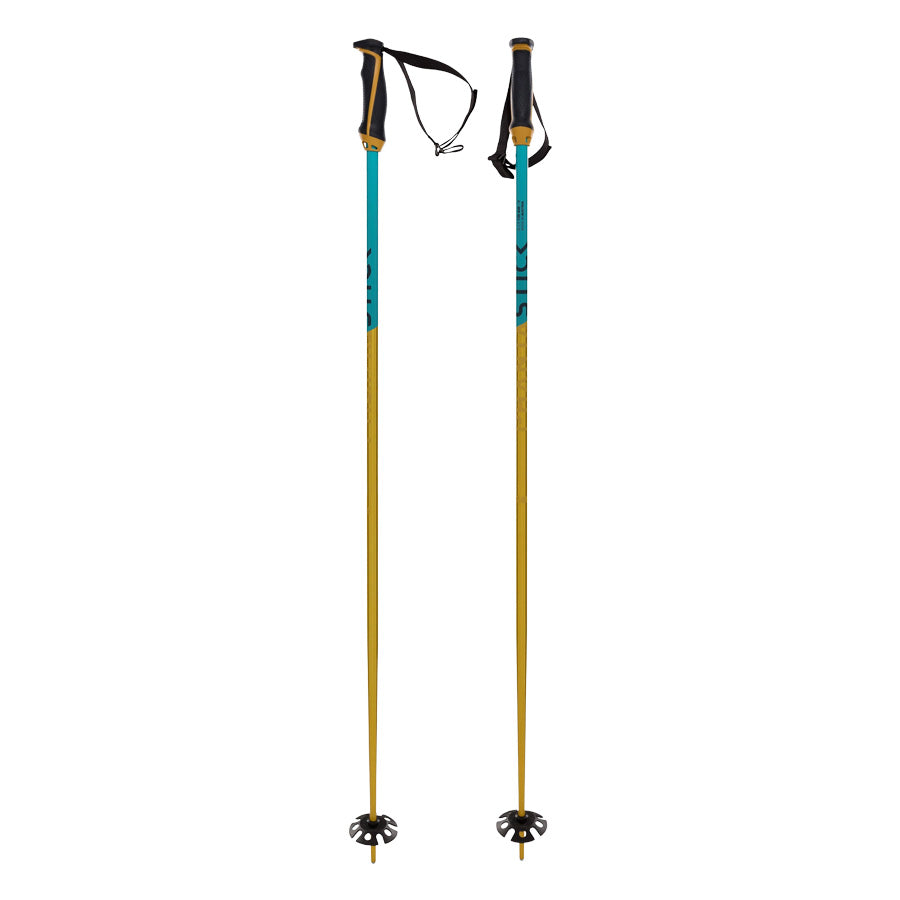 Völkl Phantastick 18MM Poles