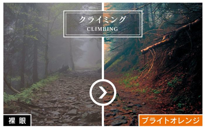 AXE Sunglasses SG-605P