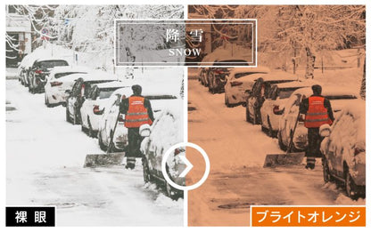 AXE Sunglasses SG-605P