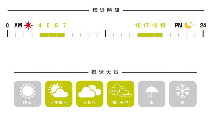 AXE Sunglasses SG-605P