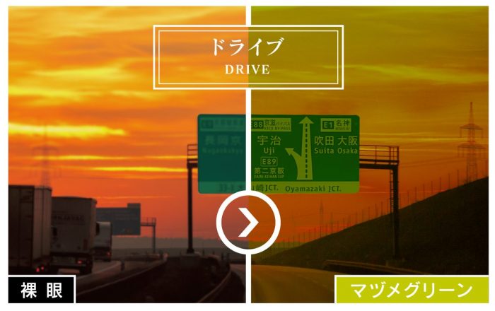 AXE Sunglasses SG-605P