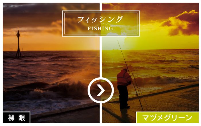 AXE Sunglasses SG-605P