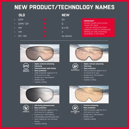 Alpina Big Horn Q Ski Goggles
